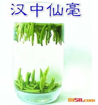 午子仙毫
