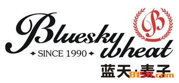 开一家蓝天麦子情侣装连锁加盟店的资金需要多少？
