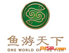 鱼游天下加盟，加盟鱼游天下一年买车又买房！
