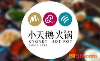 小天鹅火锅加盟费是多少？10.44万元小成本速创业！