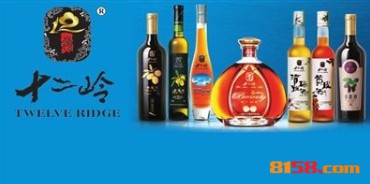 开十二岭果酒加盟连锁店需要多少钱？