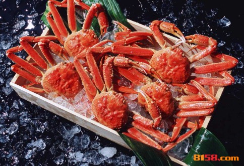 海鲜盒子