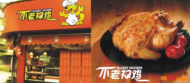 不老神鸡 不老神鸡