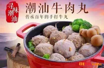 潮汕牛肉丸