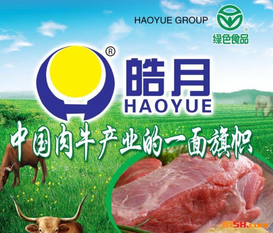 皓月牛肉