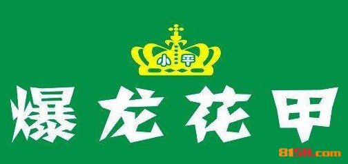 爆龙花甲品牌logo