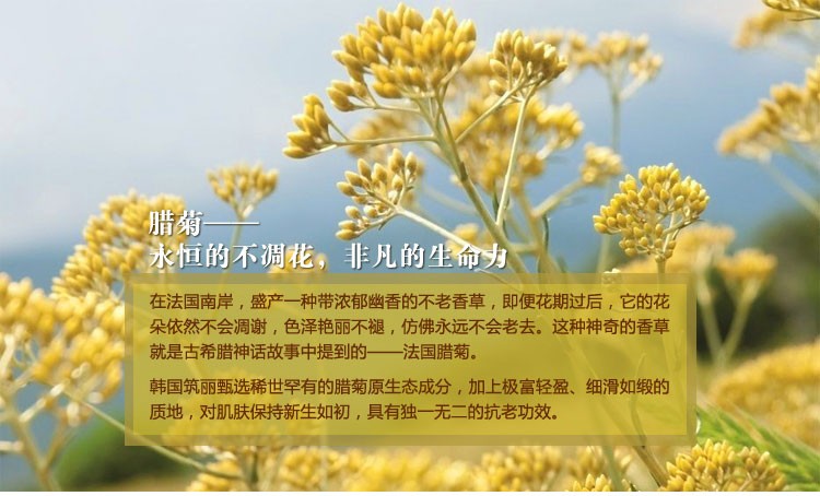 筑丽