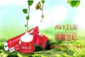 唤醒世纪