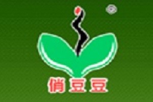 俏豆豆美容品牌logo