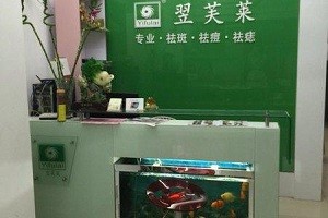 翌芙莱祛斑