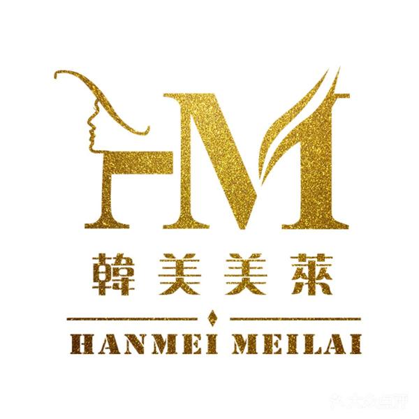 韩美美莱皮肤管理品牌logo