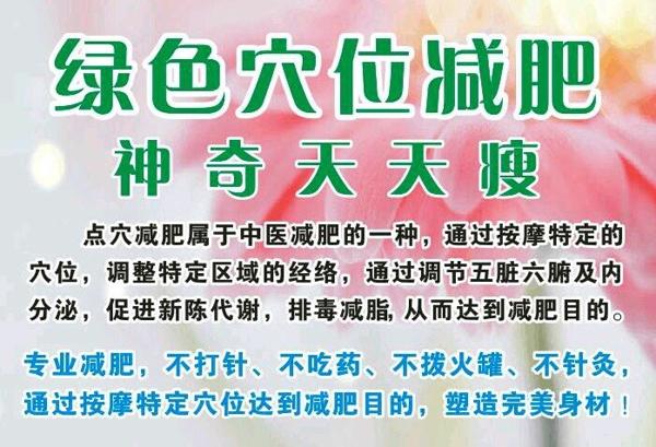 神奇天天瘦