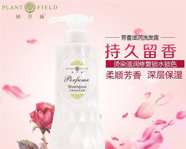 植草缘植物养发
