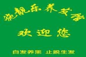 施靓乐养发馆品牌logo