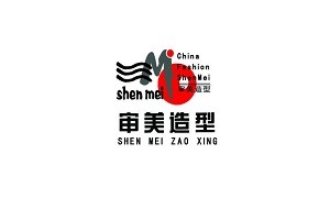 审美造型品牌logo