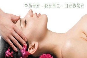 桂族养发