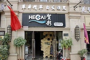 贺彩养发