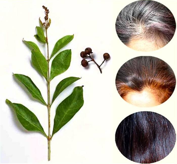 印度妙叶植物染发