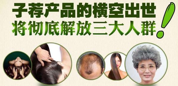 子荐道家养发养生