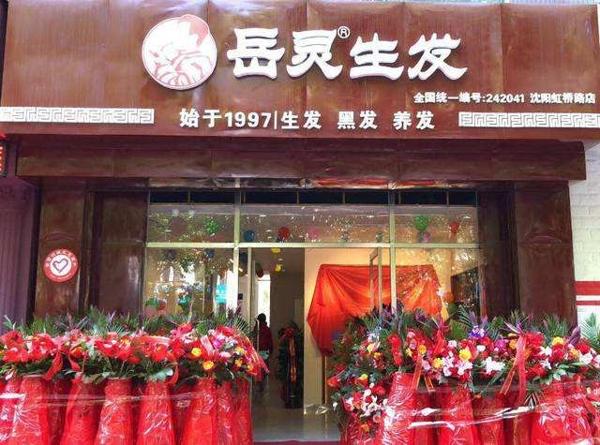 岳灵生发 岳灵生发