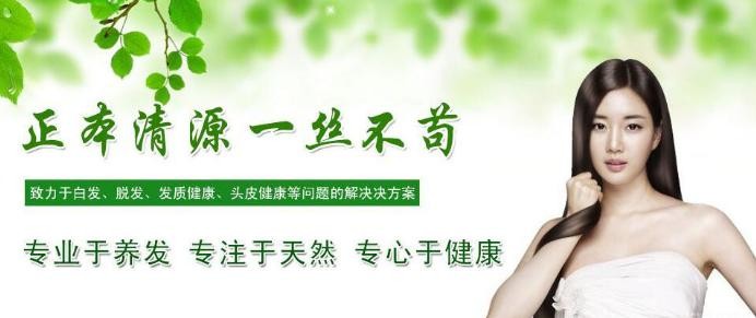 正一养发 正一养发