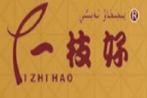 一枝好植物养发馆品牌logo