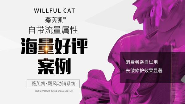 薇芙凯护肤品 薇芙凯护肤品