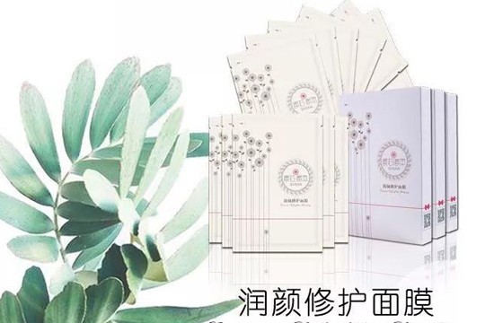 素芯素本