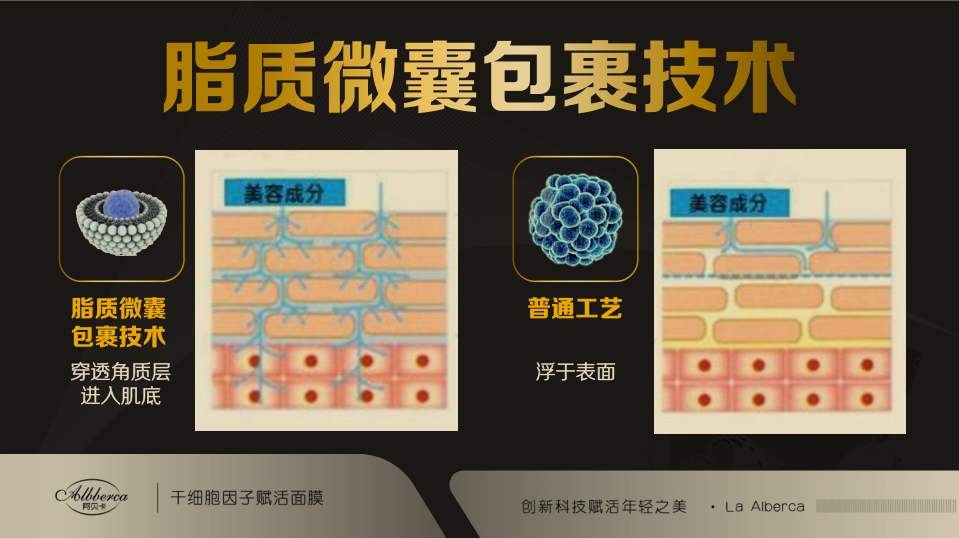 阿贝卡抗衰面膜 阿贝卡抗衰面膜