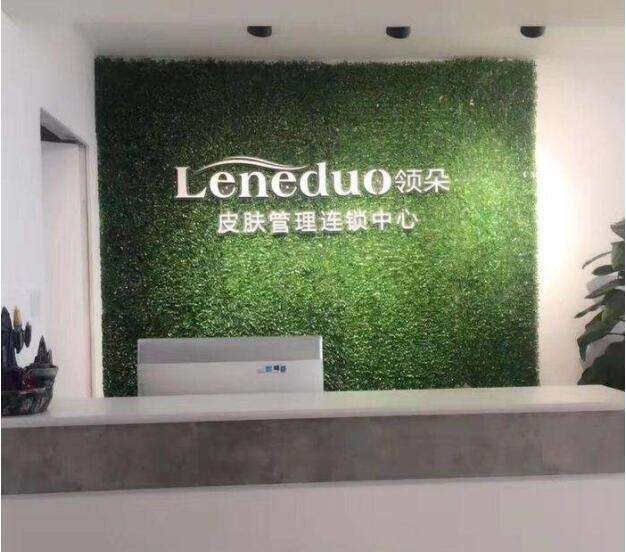 领朵