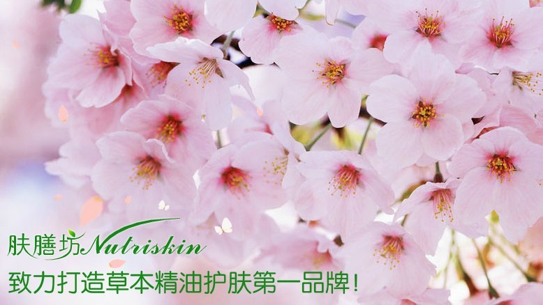 肤膳坊美容