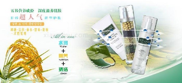 丽淘丽蔻