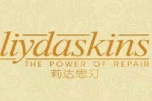 莉达思汀美容品牌logo