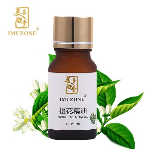 美善堂 美善堂