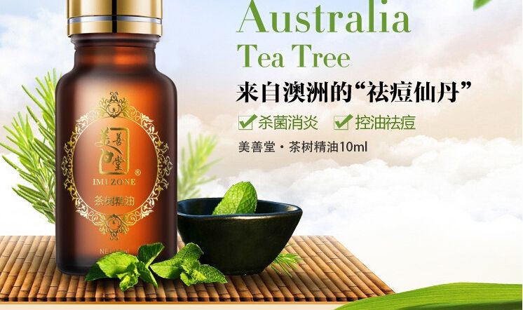 美善堂 美善堂