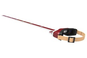 眼教授视力保健