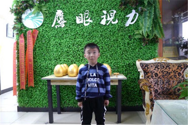 鹰眼视力 鹰眼视力