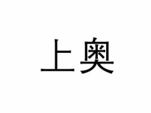 上奥品牌logo