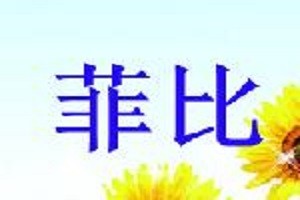 菲比化妆品品牌logo