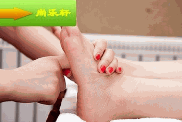 尚乐轩
