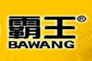 霸王化妆品品牌logo