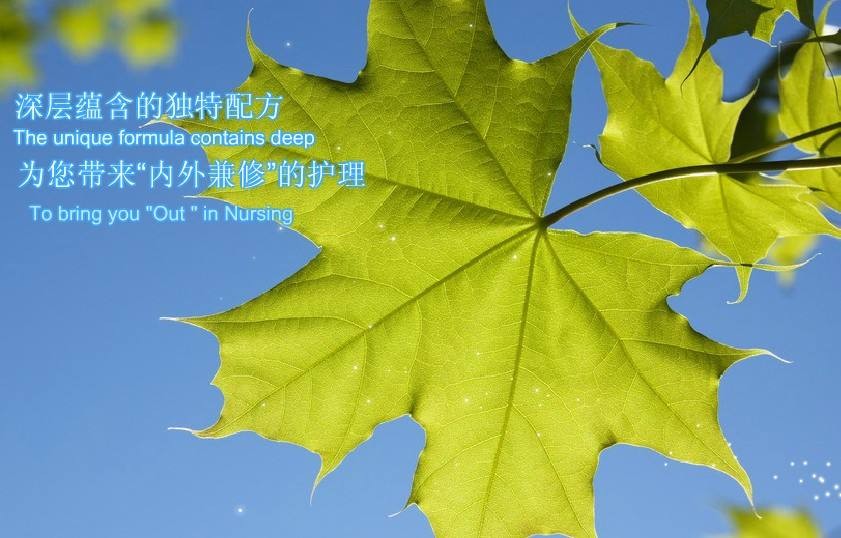 颜可丽 颜可丽
