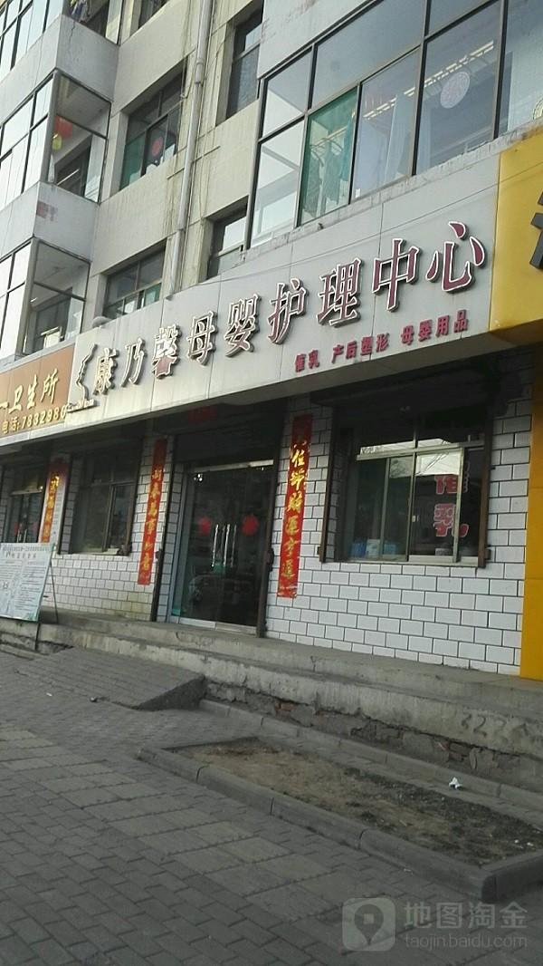 康乃馨