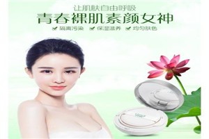 晓荷秀韵