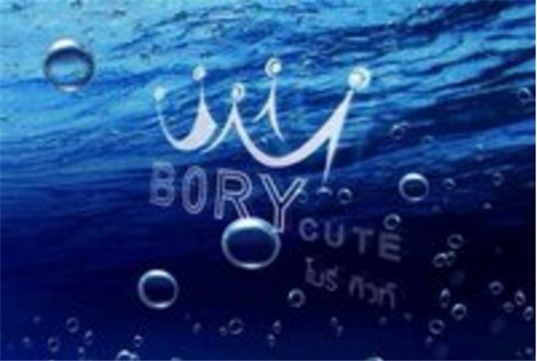 bory化妆品