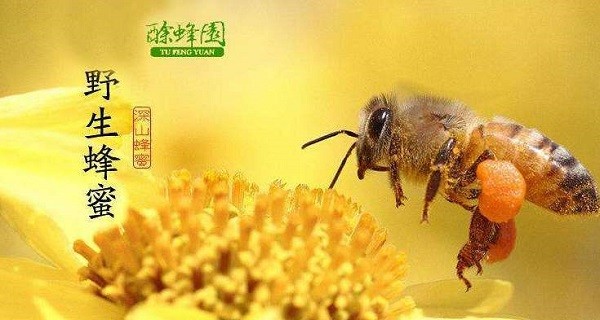 甜佳