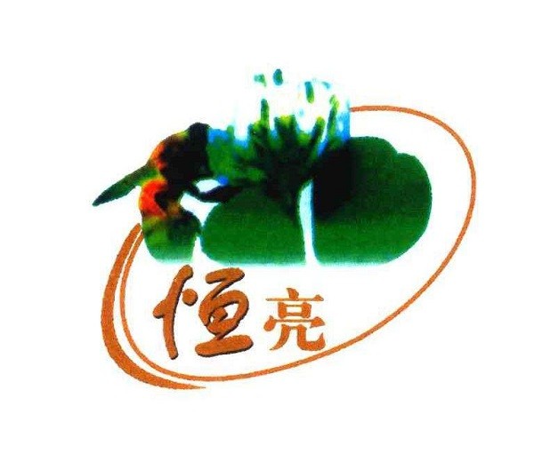 恒亮蜂品牌logo