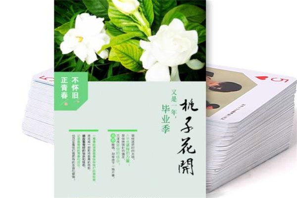 正青春化妆品