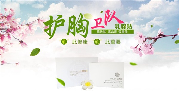 护胸卫队