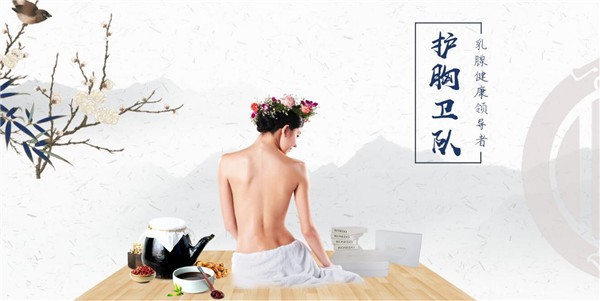 护胸卫队